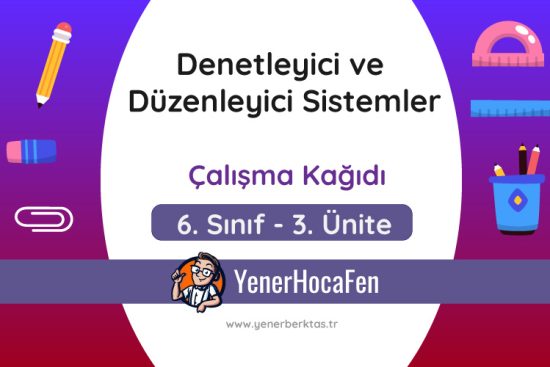 Denetleyici ve Düzenleyici Sistemler Çalışma Kağıdı