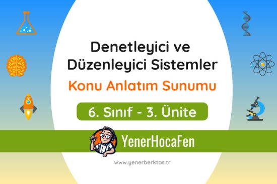 Denetleyici ve düzenleyici sistemler online sunum